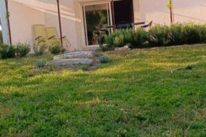 Jardin